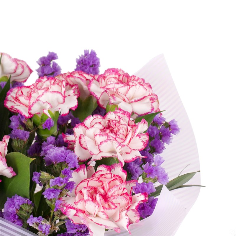 Beyaz Kırçıllı Mor Karanfil Buketi- Burgazada Purple & White - K