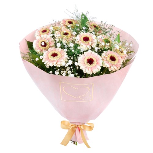 Pembe Gerbera - Riva Blush