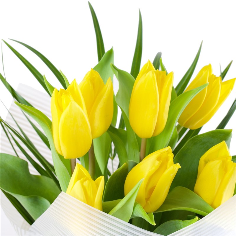 Sarı Lale Buketi - Strong Gold