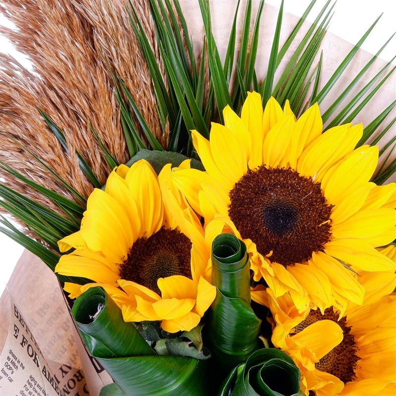 Ayçiçeği Buketi Mudanya