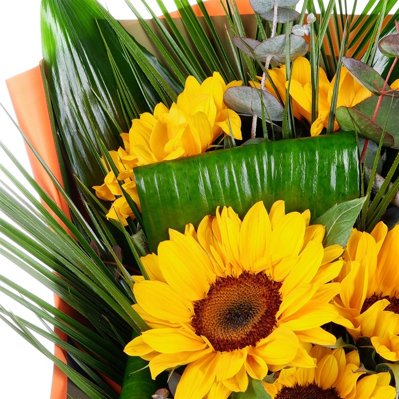 Ayçiçeği Buketi Çankaya