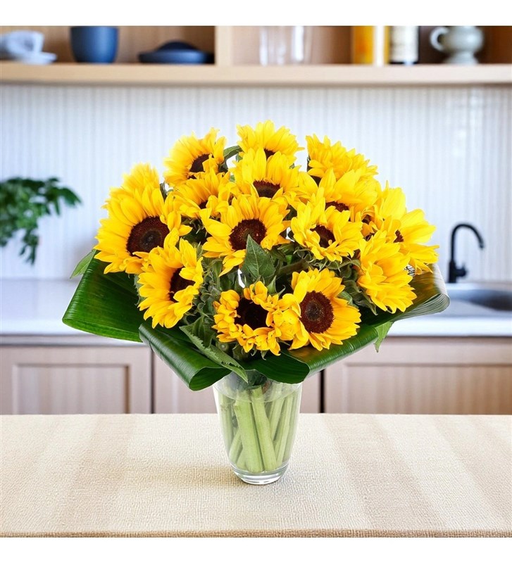 Ayçiçeği Bahçesi Akça