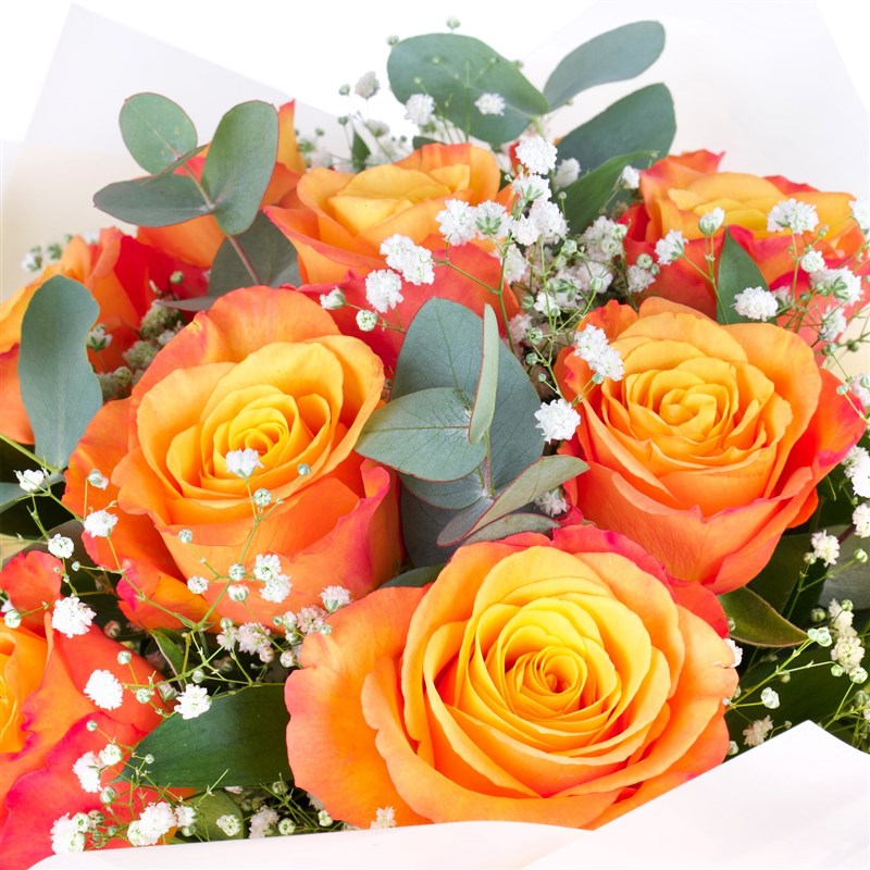 Orange Rose Bouquet - Orange Roses