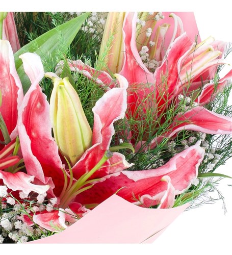 Pembe Lilyum Buketi