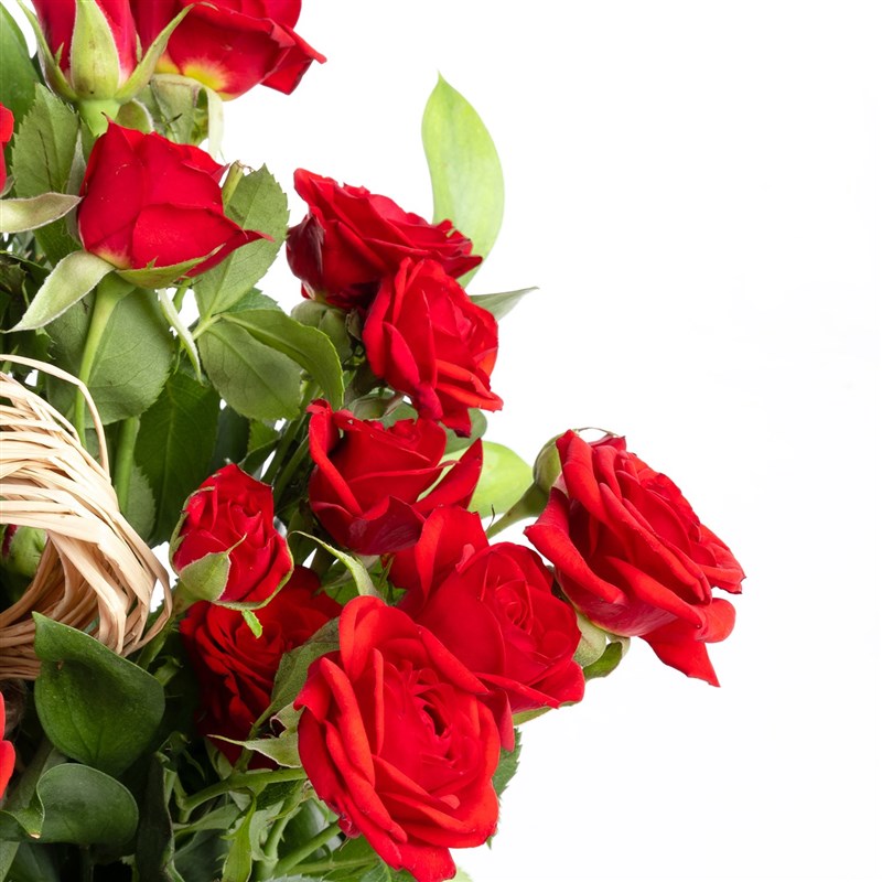 Red Arbor Rose Arrangement Salda