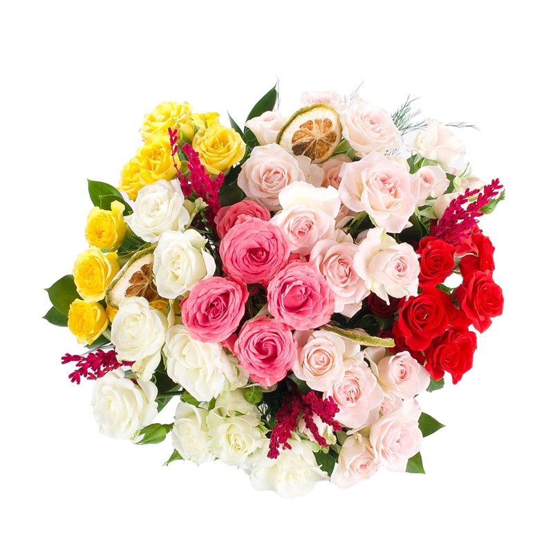 Akvaryum'da Çardaklar Philadelphia Aranjmanı