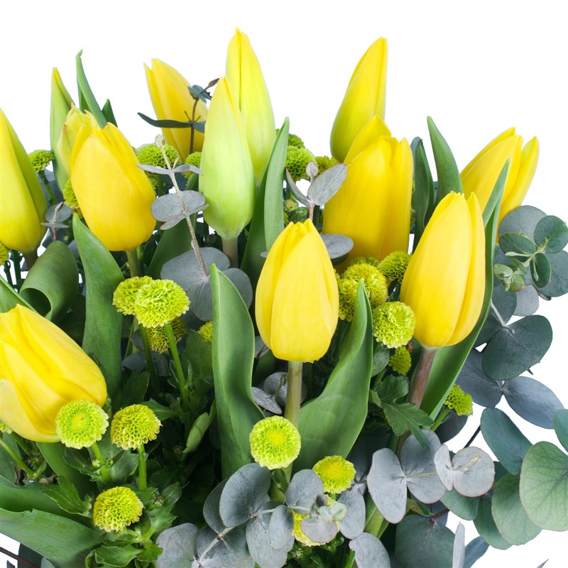 Sarı Lale ve Okaliptus Aranjmanı - Strong Gold Yellow Tulips