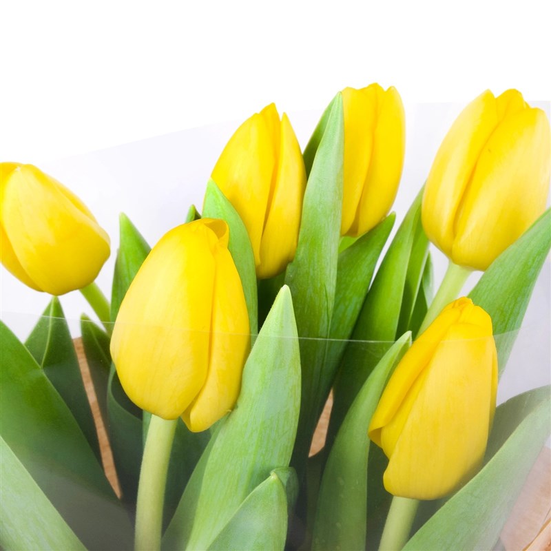 Yellow Tulip Bouquet - Set of 7