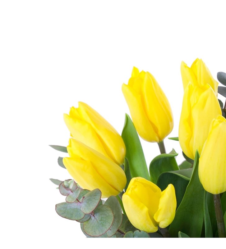 Sarı Lale Aranjmanı - Yellow Winter Tulips