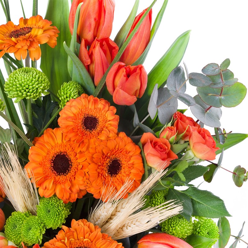 Turuncu Lale Aranjmanı