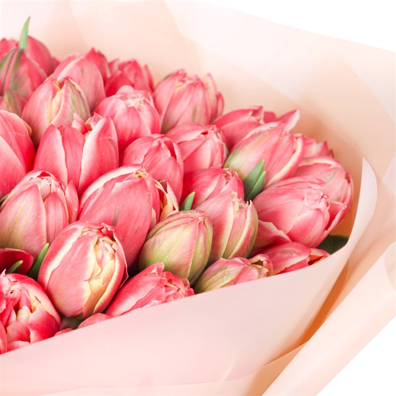 Pembe Lale Buketi Premium 41 li