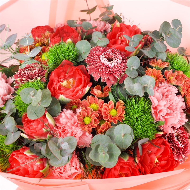 Kırmızı Lale Zerafeti