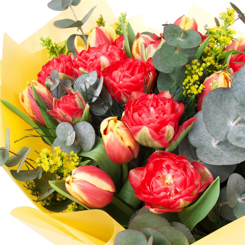 Kırmızı Lale Buketi - Barcelona Bouquet