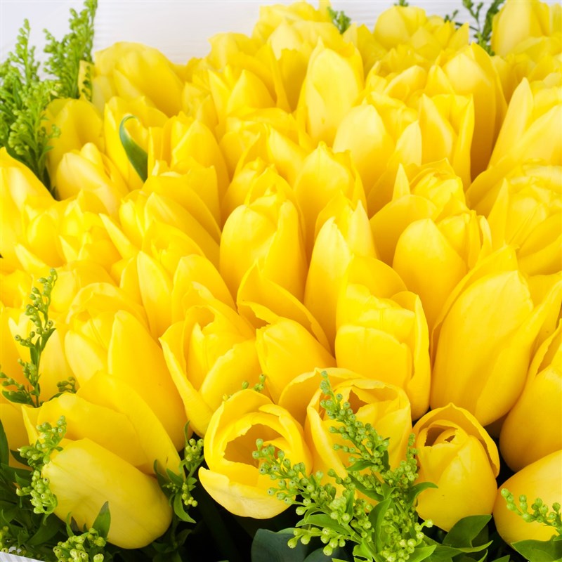 Sarı Lale Buketi 101 li - MFÖ