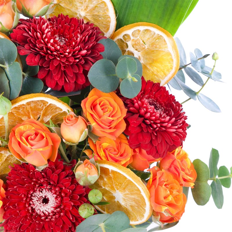 Beton Saksıda Sonbahar Aranjmanı