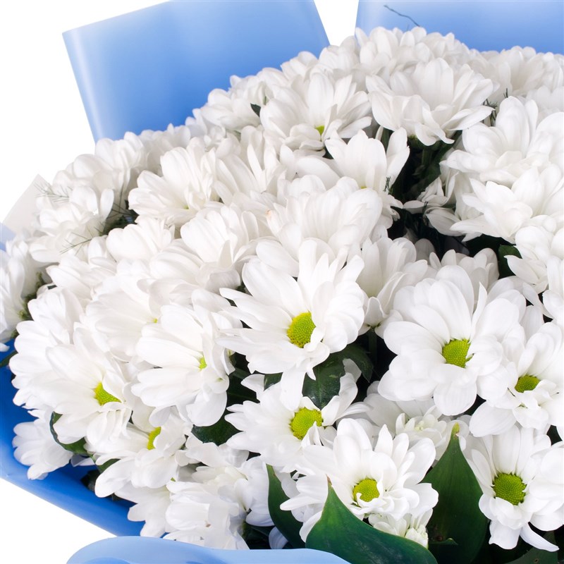 Beyaz Papatya Buketi