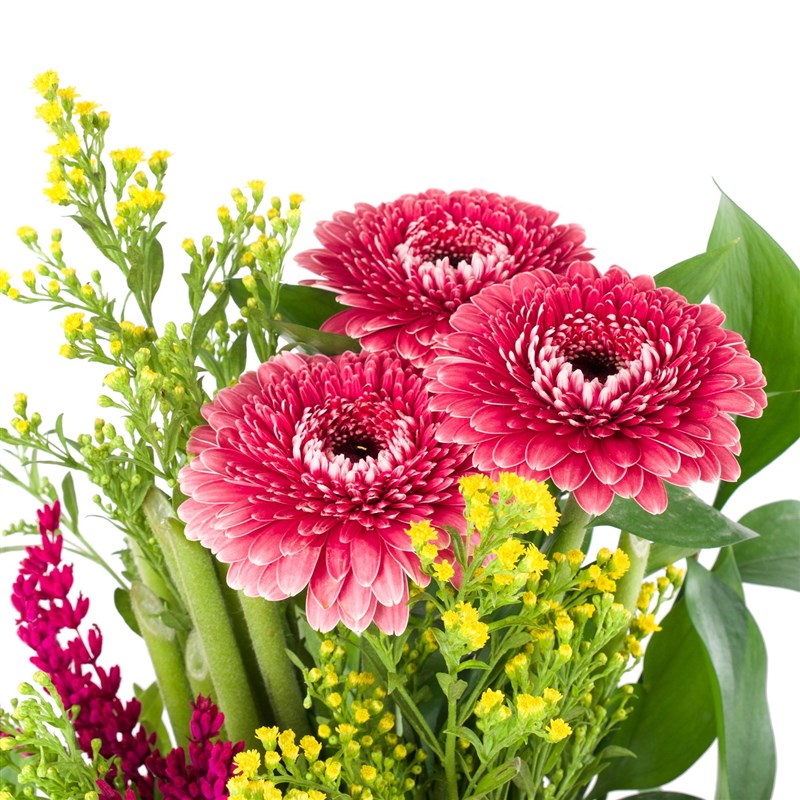 Seramik Saksıda Bordo Gerbera Aranjmanı