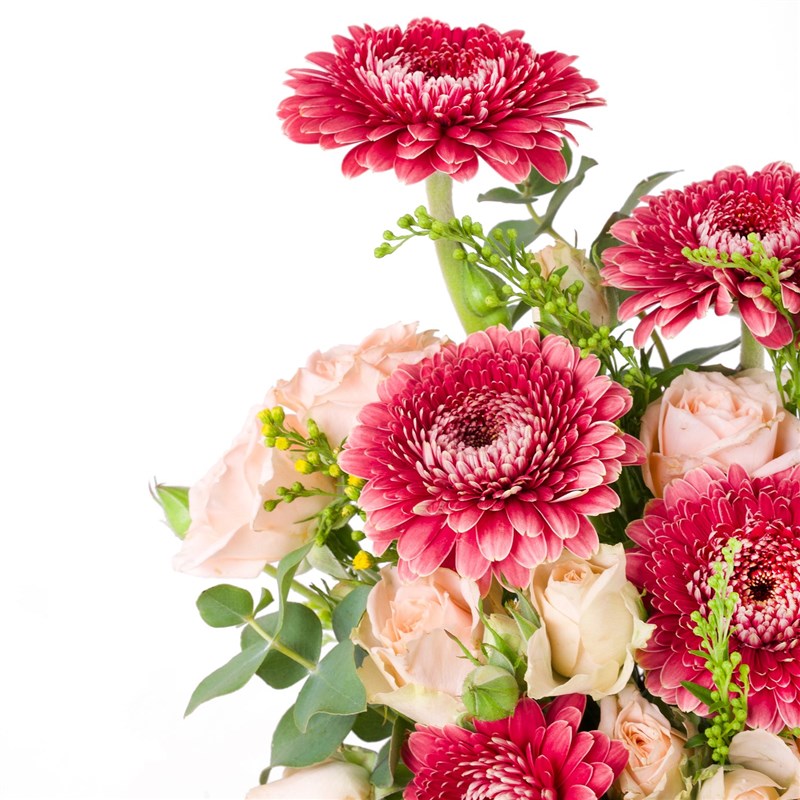 Gerbera and Climbing Rose Arrangement in Ceramic Pot
