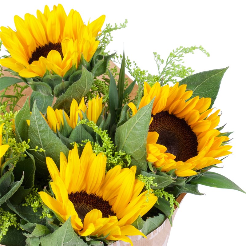 Ayçiçeği Buketi Day Shine