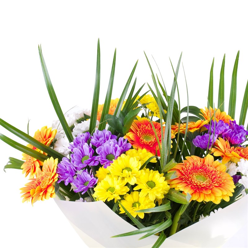 Baharın Habercisi Gerbera Buketi Franky